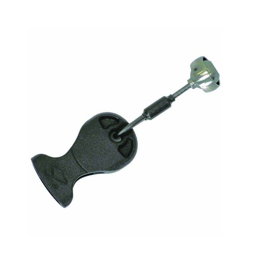 Daisy on the Ohoopee